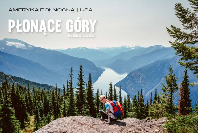 Losowy darmowy artykuł